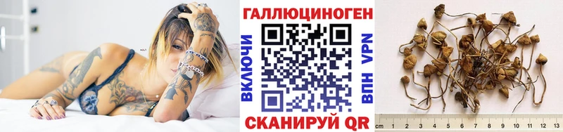 Псилоцибиновые грибы прущие грибы  Междуреченск 