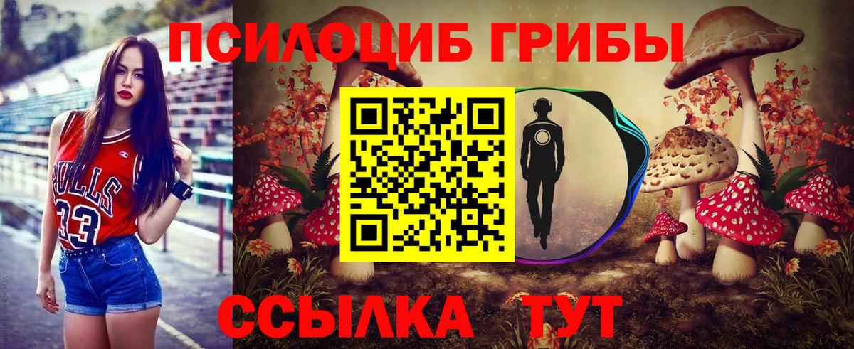 где можно купить   Вход с VPN  Междуреченск  Галлюциногенные грибы мицелий 