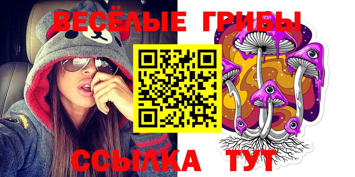 Псилоцибиновые грибы мухоморы Междуреченск
